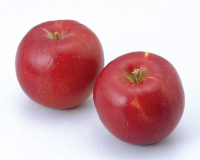 りんご　0324 わけありましましりんご｜ Oisix産直おとりよせ市場