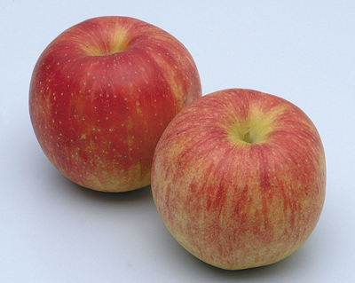 りんご - 商品一覧 - 阪急キッチンエール関西
