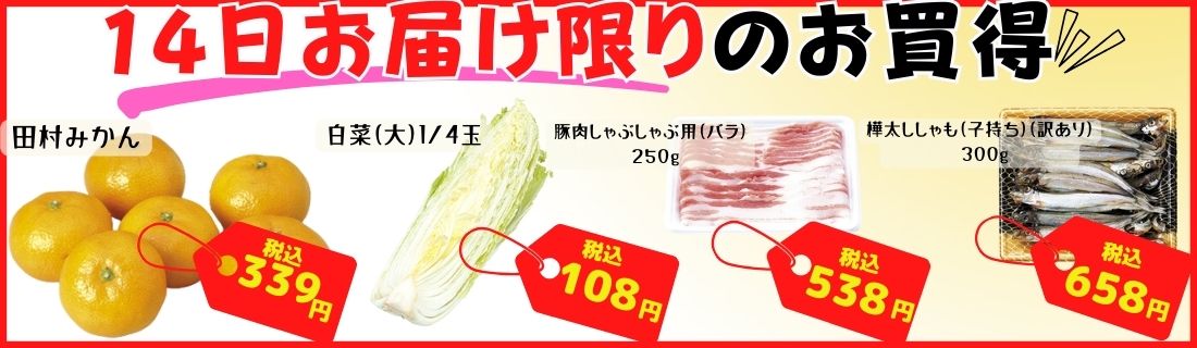 20230311CMS-8