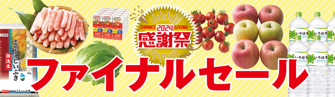 感謝祭ファイナルセール#114