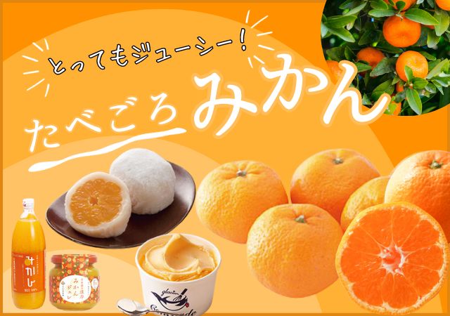 レモン　越冬みかん3kg×２箱ぐるりん 特選小玉みかん 2S 3kg | 杉本果樹園 八寿みかん