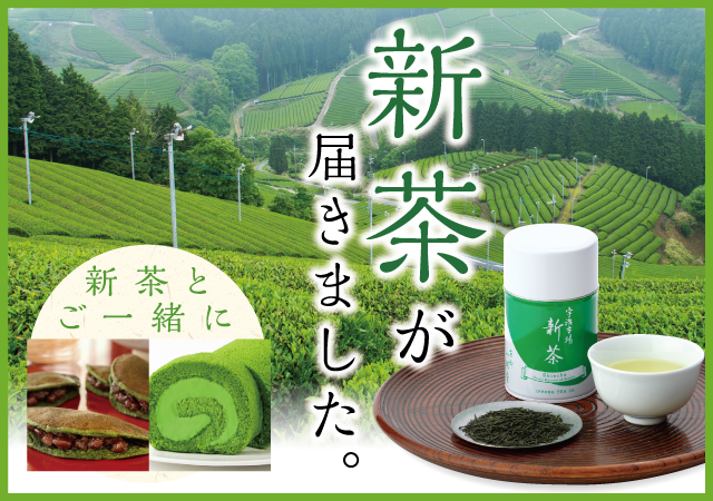 新茶とおやつ