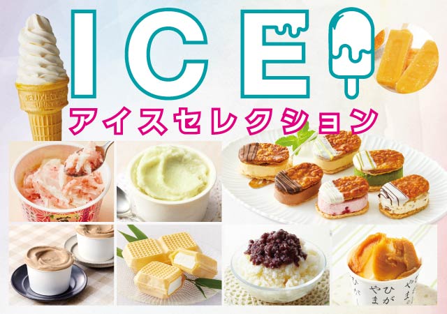 2026-120_ice.CMS
