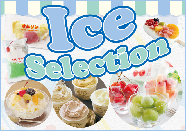 2026-129_ice.CMS