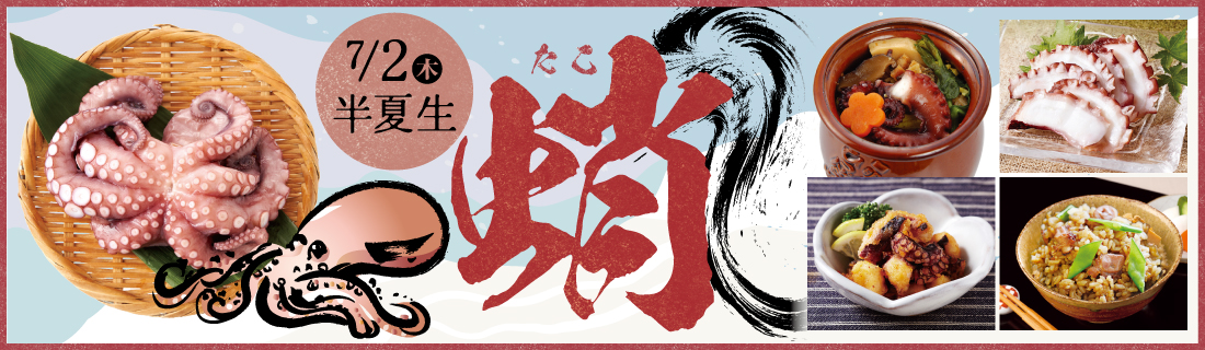 蛸（半夏生）#128