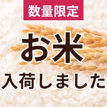 1ページ目