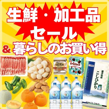 1ページ目