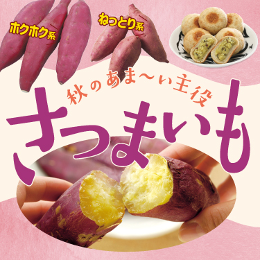 1ページ目