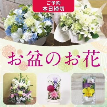 1ページ目