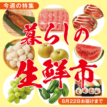 1ページ目