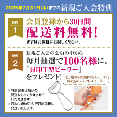 1ページ目
