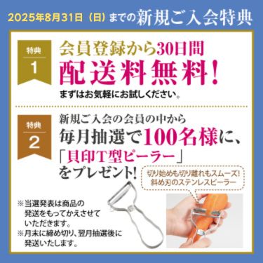 1ページ目