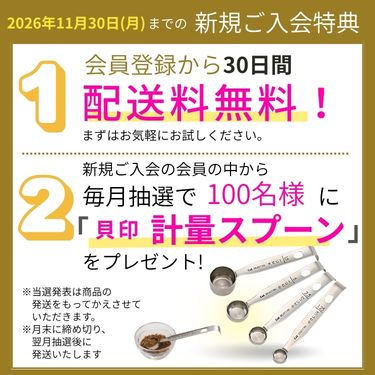 1ページ目