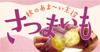 6リンク目
