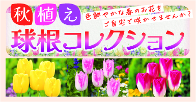 4リンク目