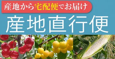6リンク目