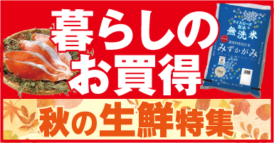 6リンク目